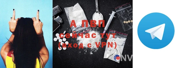 дмт Новодвинск