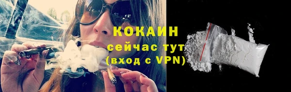 трава Новокубанск