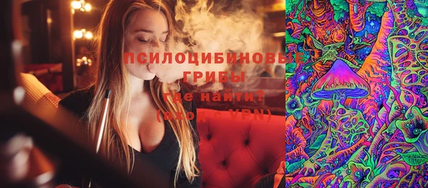 каннабис Новозыбков