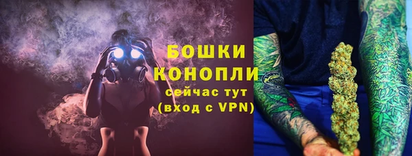 дмт Новодвинск
