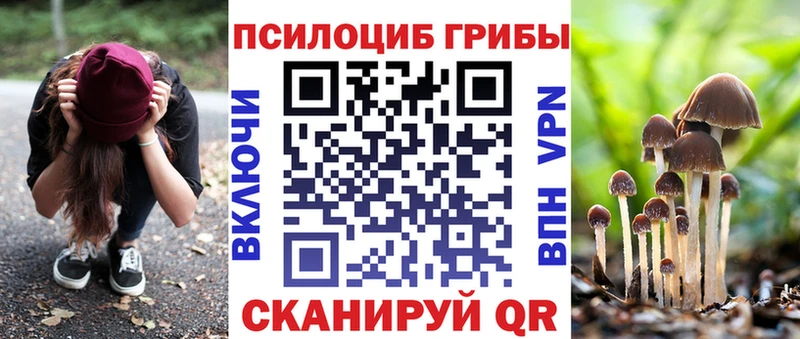 Псилоцибиновые грибы Psilocybine cubensis  Касимов 
