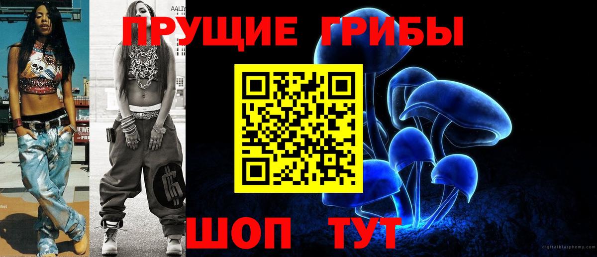 Псилоцибиновые грибы MAGIC MUSHROOMS  купить наркотик  Касимов  Вход с VPN 
