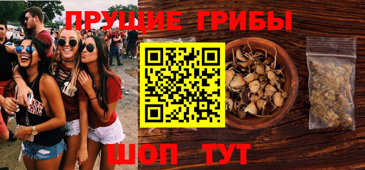 Псилоцибиновые грибы MAGIC MUSHROOMS Касимов