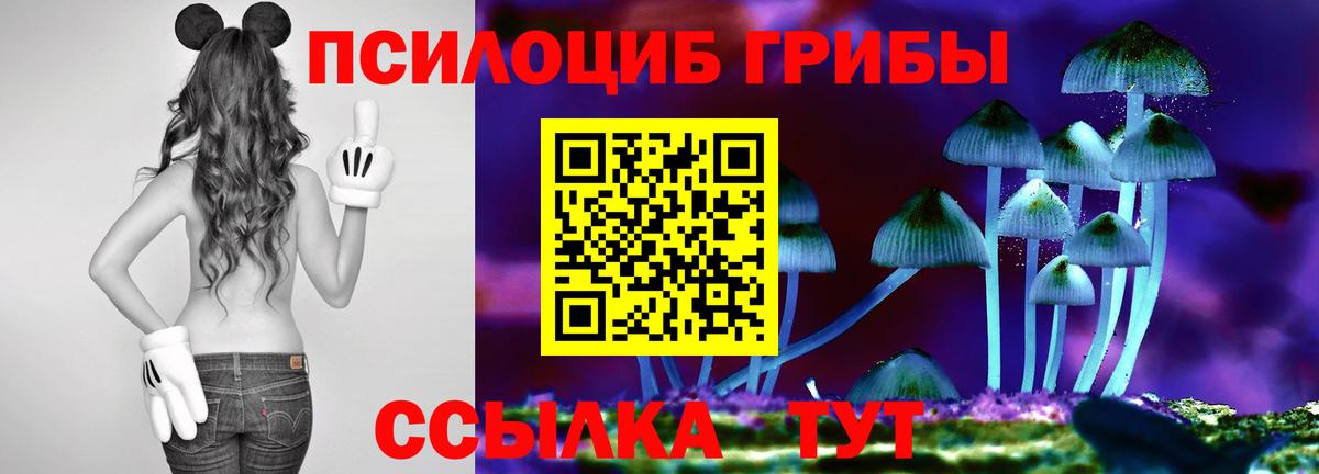 Псилоцибиновые грибы Magic Shrooms  Галлюциногенные грибы мухоморы  Касимов 